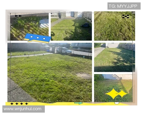 温哥华BC广场全新草皮系统提升城市绿化与生态环境